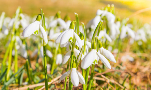 21.03 / Pierwszy Dzień Wiosny 2017 :)