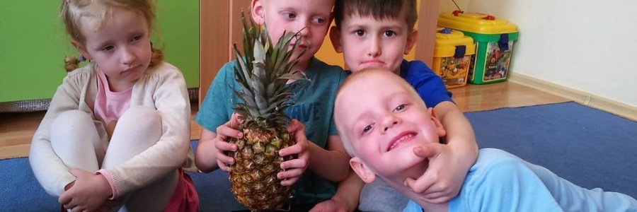 Ananasy z naszej … grupy poznają owoce :)