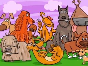 dogoterapia, lubartów, Casper, przedszkole, żłobek, psy